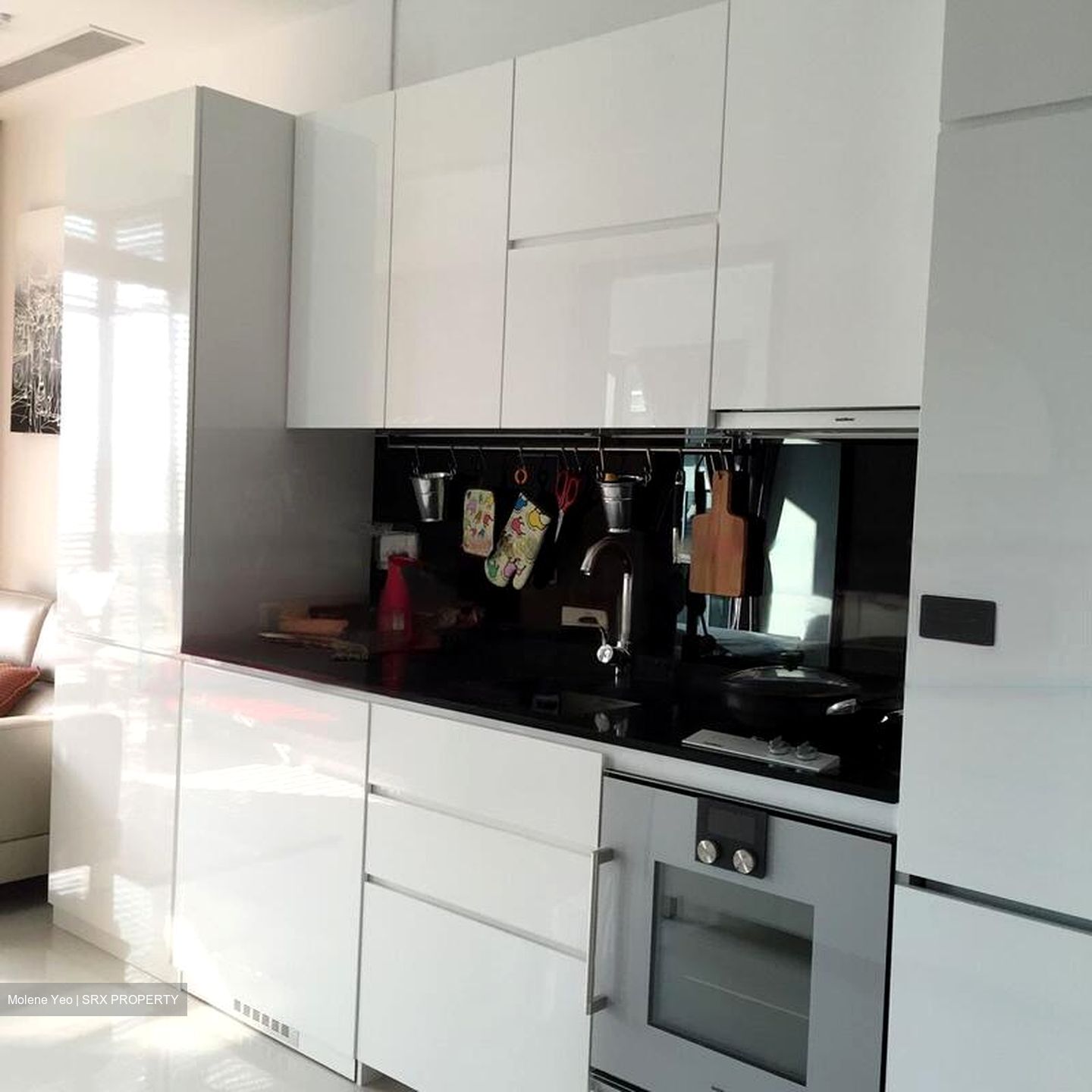 Robin Suites (D10), Apartment #480057711